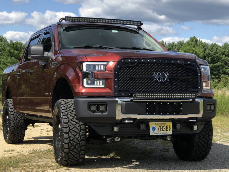 Ford F-150 with Royalty Core RC Mesh Series grille in polished stainless